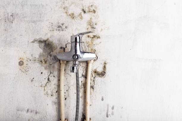 Best Preventive Mold Services in Anderson, IN