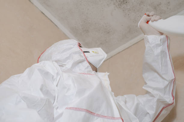 Best Commercial Mold Remediation in Anderson, IN